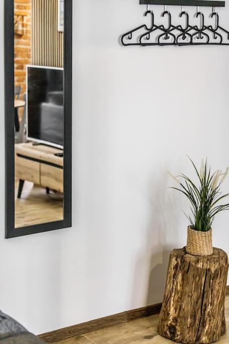 Rzeznicza 24 Daire Wroclaw Dış mekan fotoğraf
